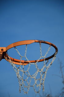 米兰体育平台登录入口-NBA球队球员培养规划设计，nba对球员的要求是什么