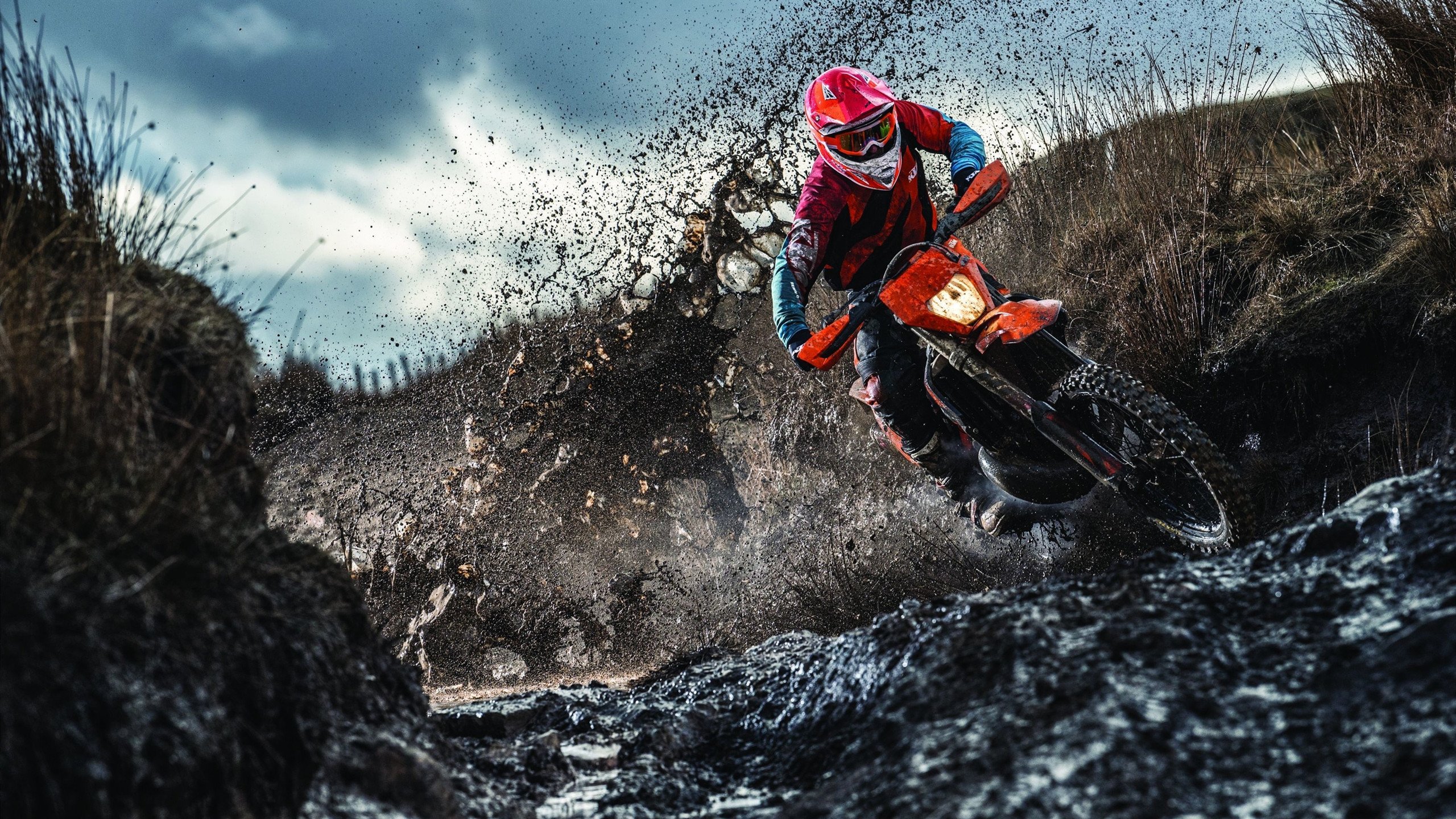 体育赛事粉丝互动排行